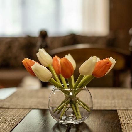 Alex Apartment Velingrad Bagian luar foto