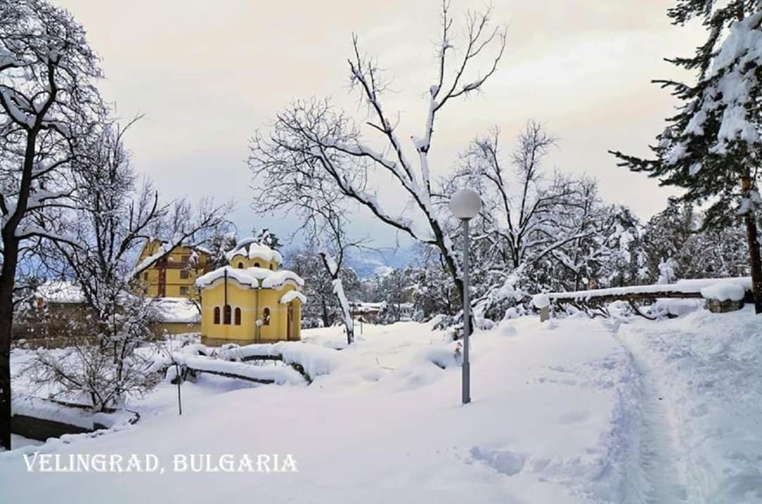 Alex Apartment Velingrad Bagian luar foto